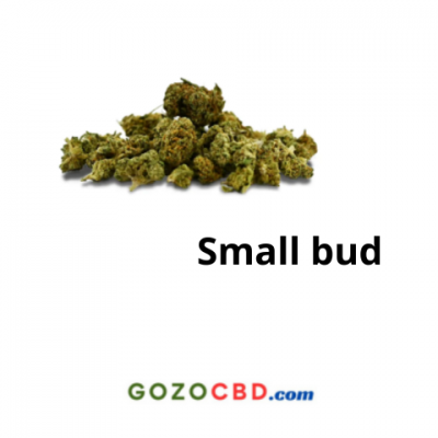 Fleur Small bud
