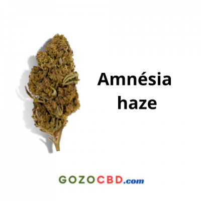fleur amnésia haze