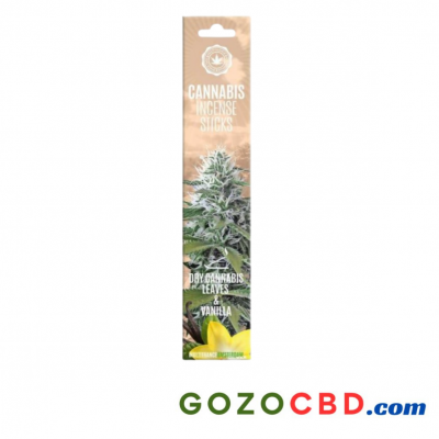 ENCENS canabis vanilla - Lot de 15 de la marque MULTITRANCE packaging