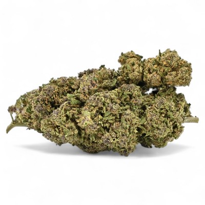 Purple Cookie Premium CBD Purple Cookie Premium CBD