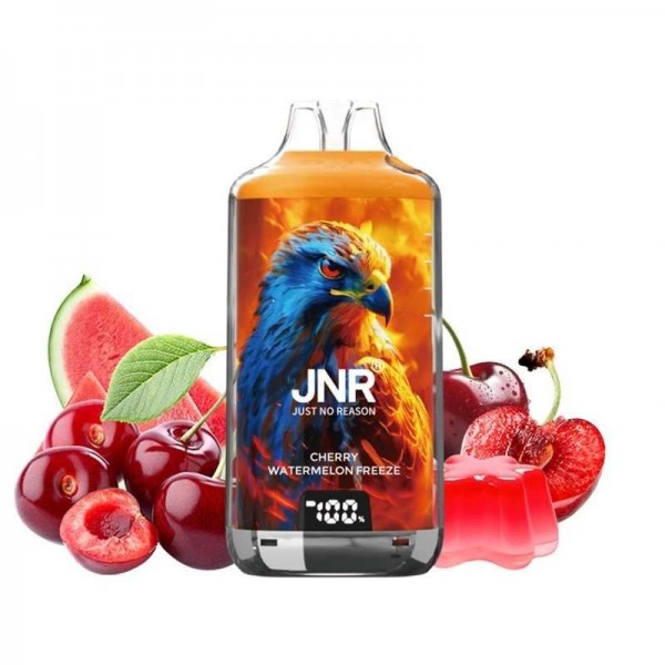 Puff Falcon-X Plus 28K Cherry Watermelon Freeze 950mAh 2ml - JNR