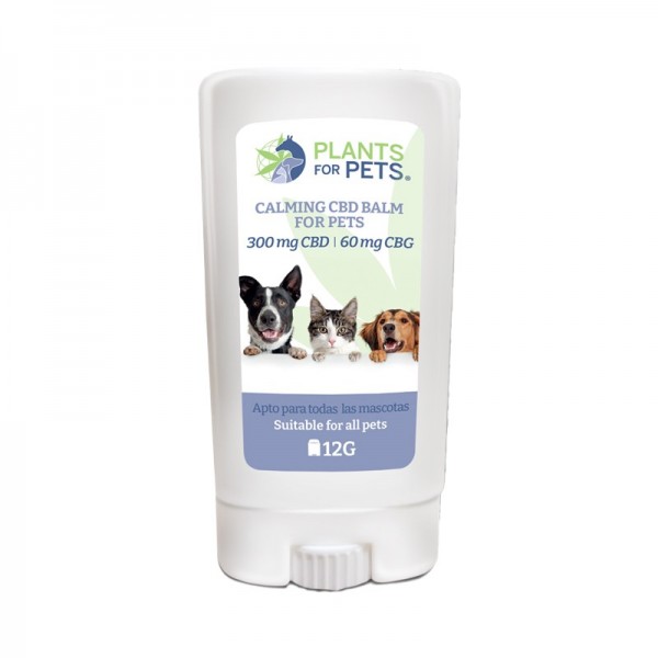 Baume CBD apaisant animaux light | PLANTS FOR PETS